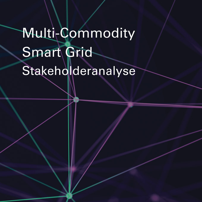 Multi-Commodity Smart Grid